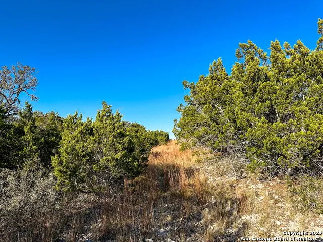 000 SD 31838 Rocksprings, TX 78880