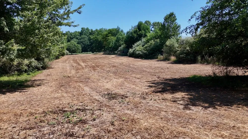 6345 US Highway 27 Greenbush Township, MI 48879