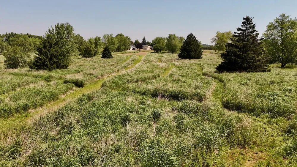 6345 US Highway 27 Greenbush Township, MI 48879