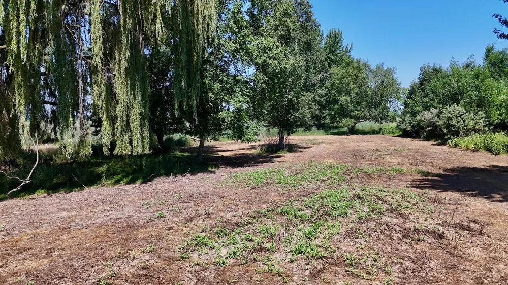 6345 US Highway 27 Greenbush Township, MI 48879