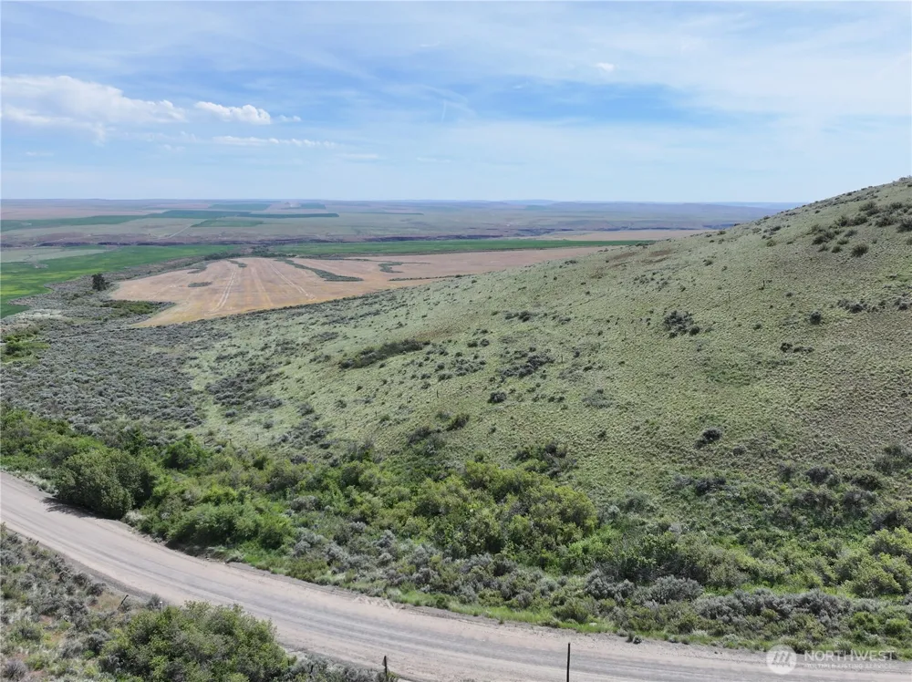 0 Titchenal Canyon Road SW Waterville, WA 98858