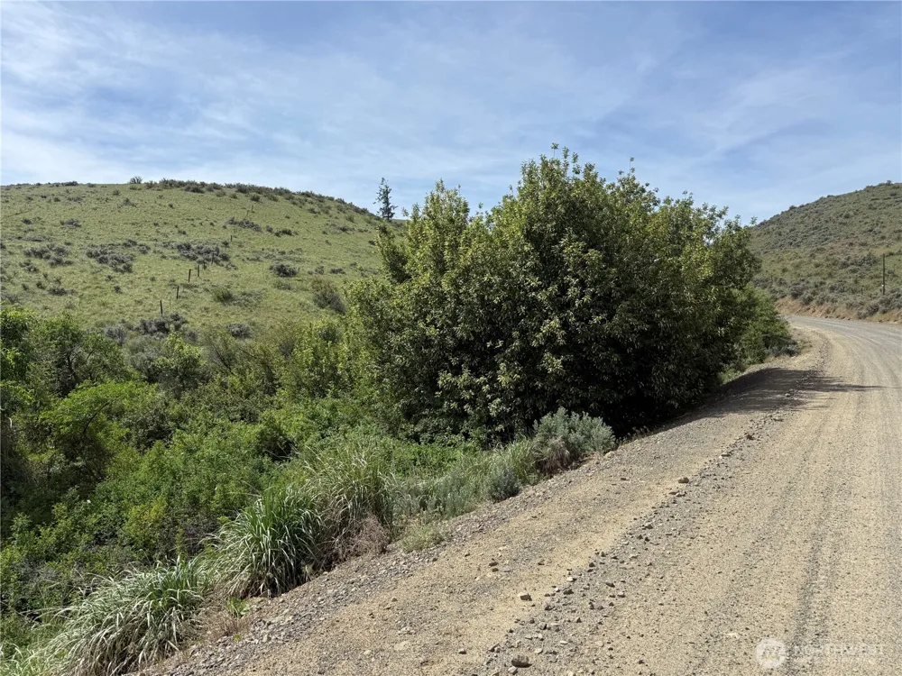 0 Titchenal Canyon Road SW Waterville, WA 98858