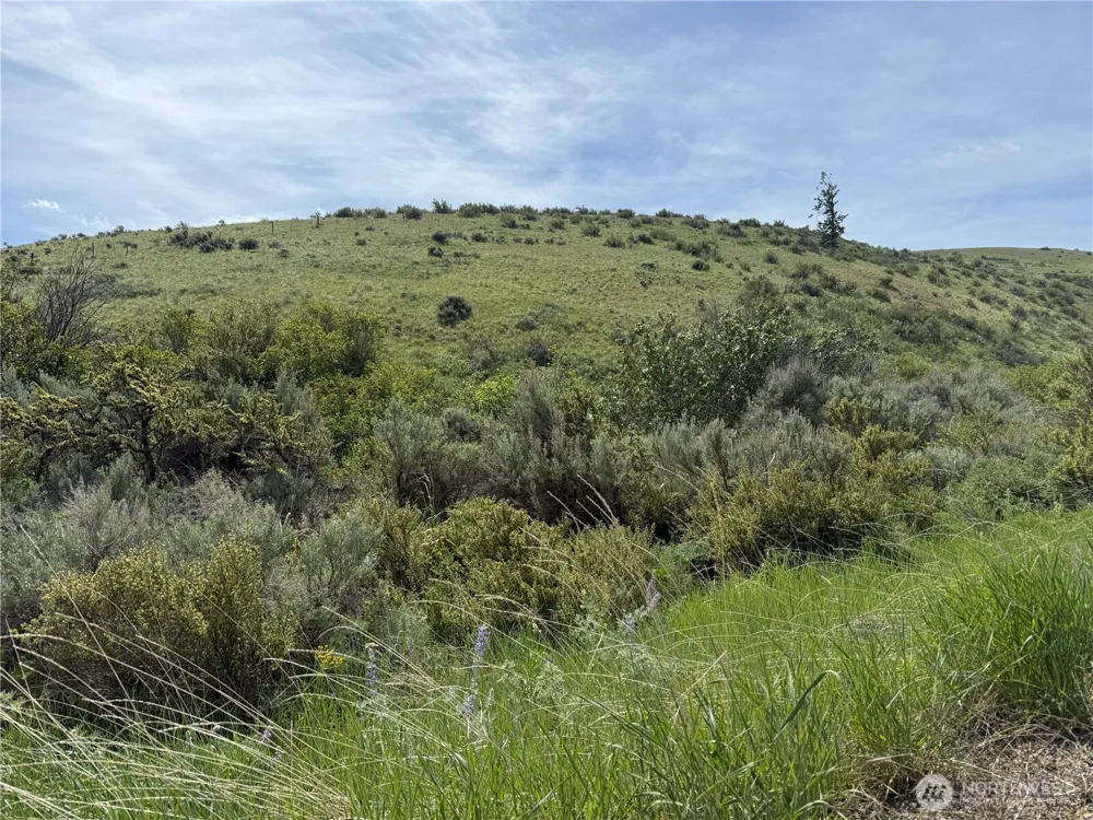 0 Titchenal Canyon Road SW Waterville, WA 98858