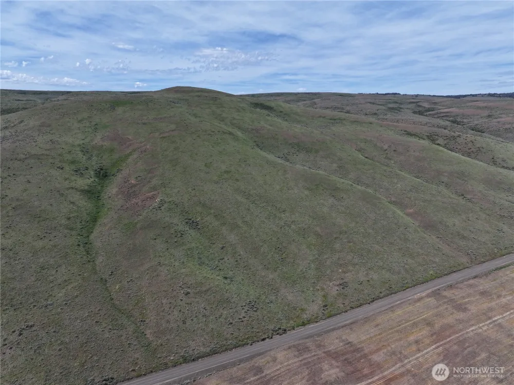0 Titchenal Canyon Road SW Waterville, WA 98858