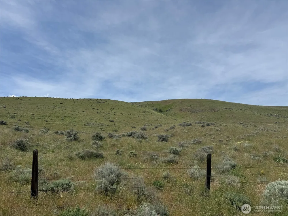 0 Titchenal Canyon Road SW Waterville, WA 98858