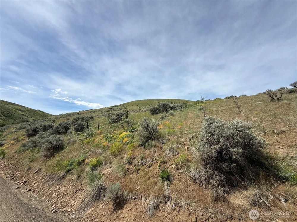0 Titchenal Canyon Road SW Waterville, WA 98858