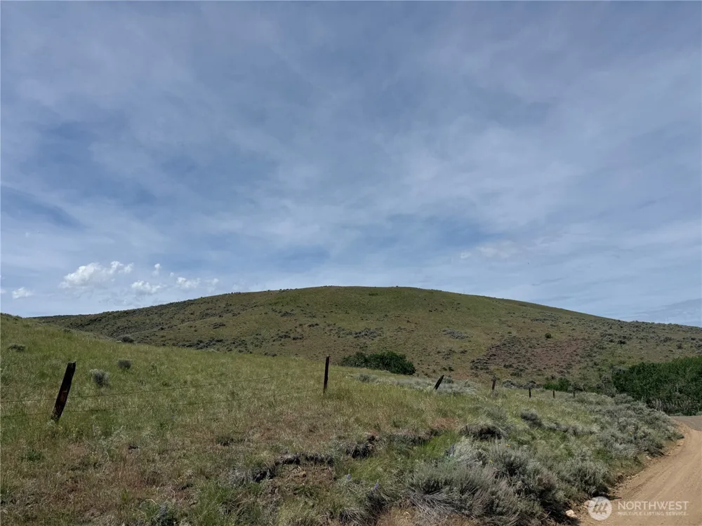 0 Titchenal Canyon Road SW Waterville, WA 98858