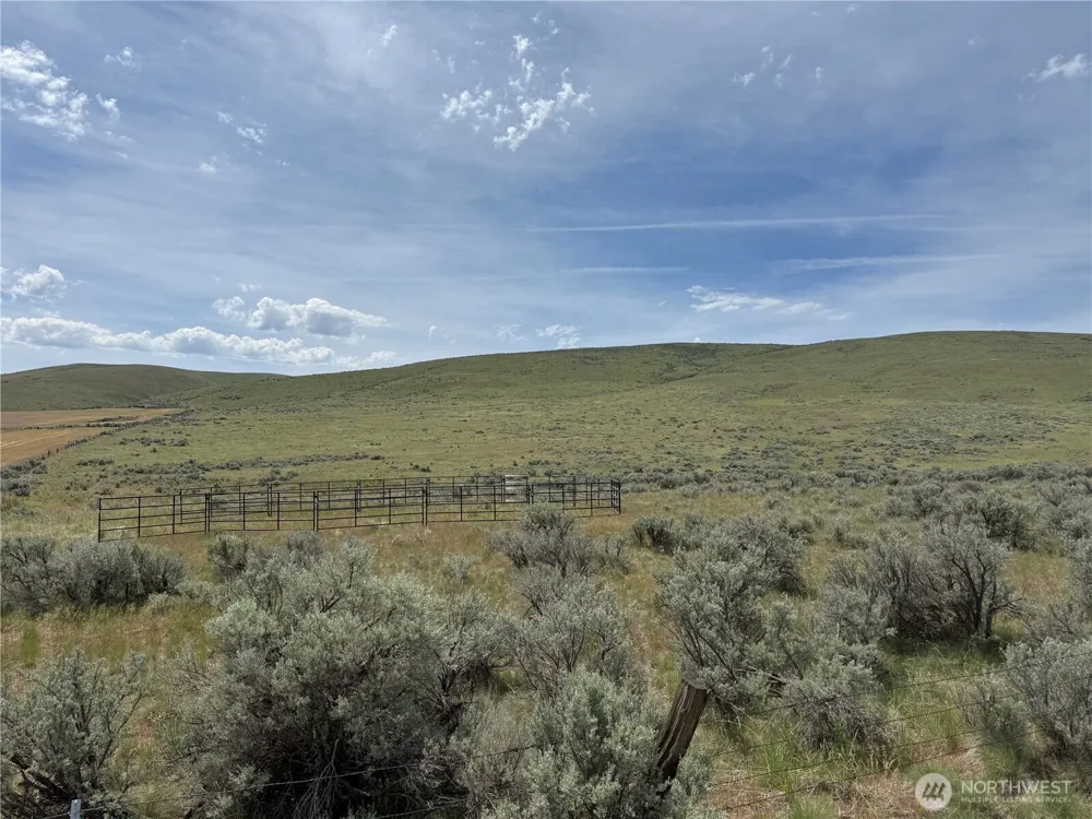 0 Titchenal Canyon Road SW Waterville, WA 98858