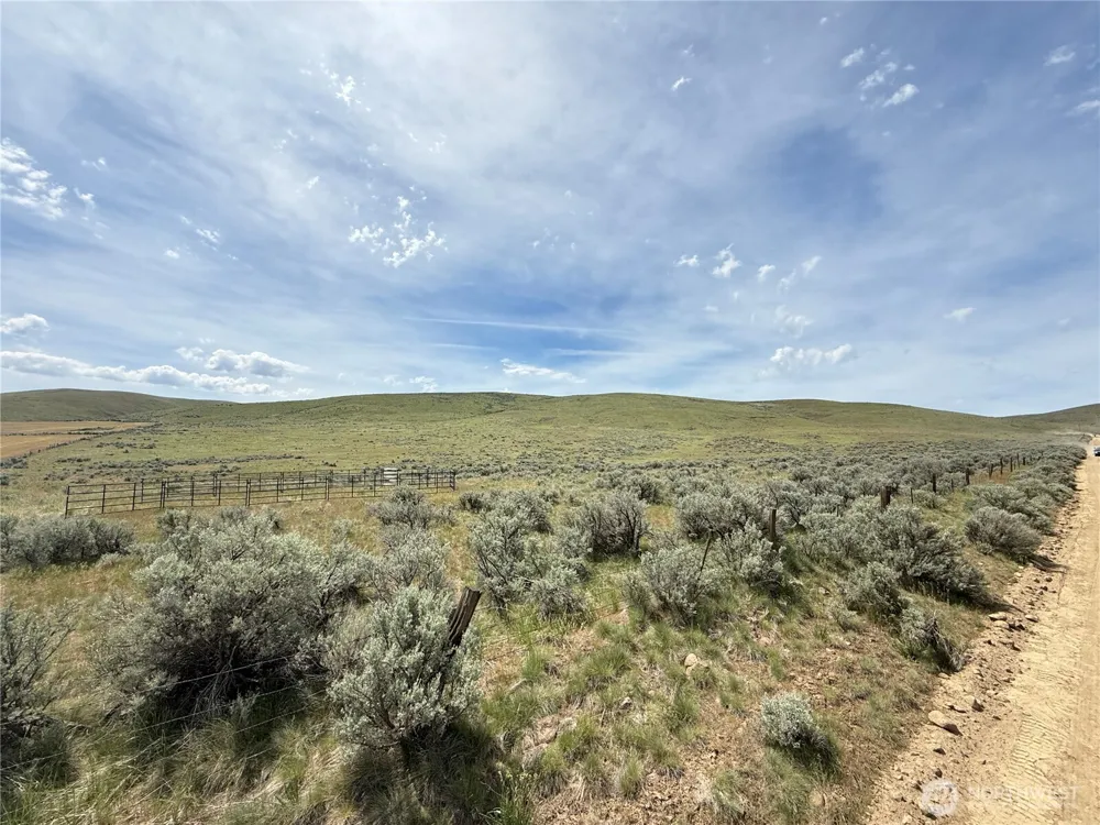 0 Titchenal Canyon Road SW Waterville, WA 98858