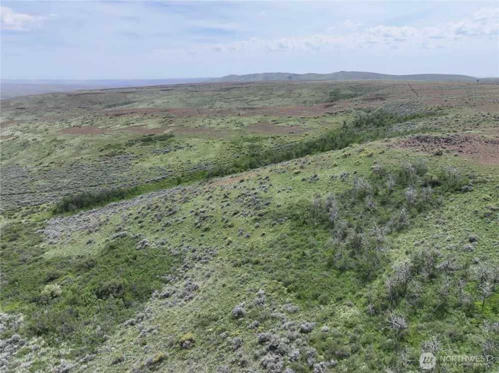 0 Titchenal Canyon Road SW Waterville, WA 98858