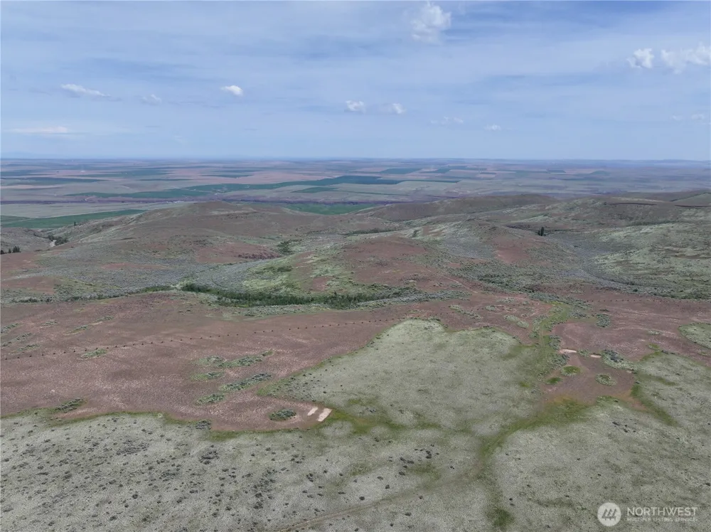0 Titchenal Canyon Road SW Waterville, WA 98858