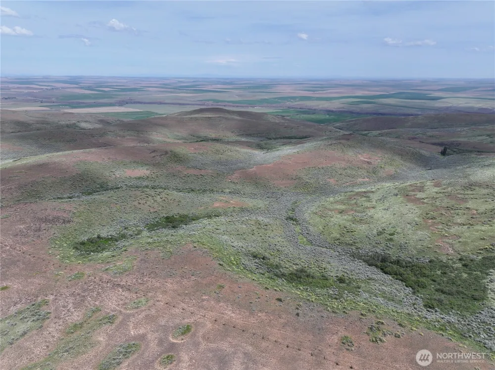 0 Titchenal Canyon Road SW Waterville, WA 98858