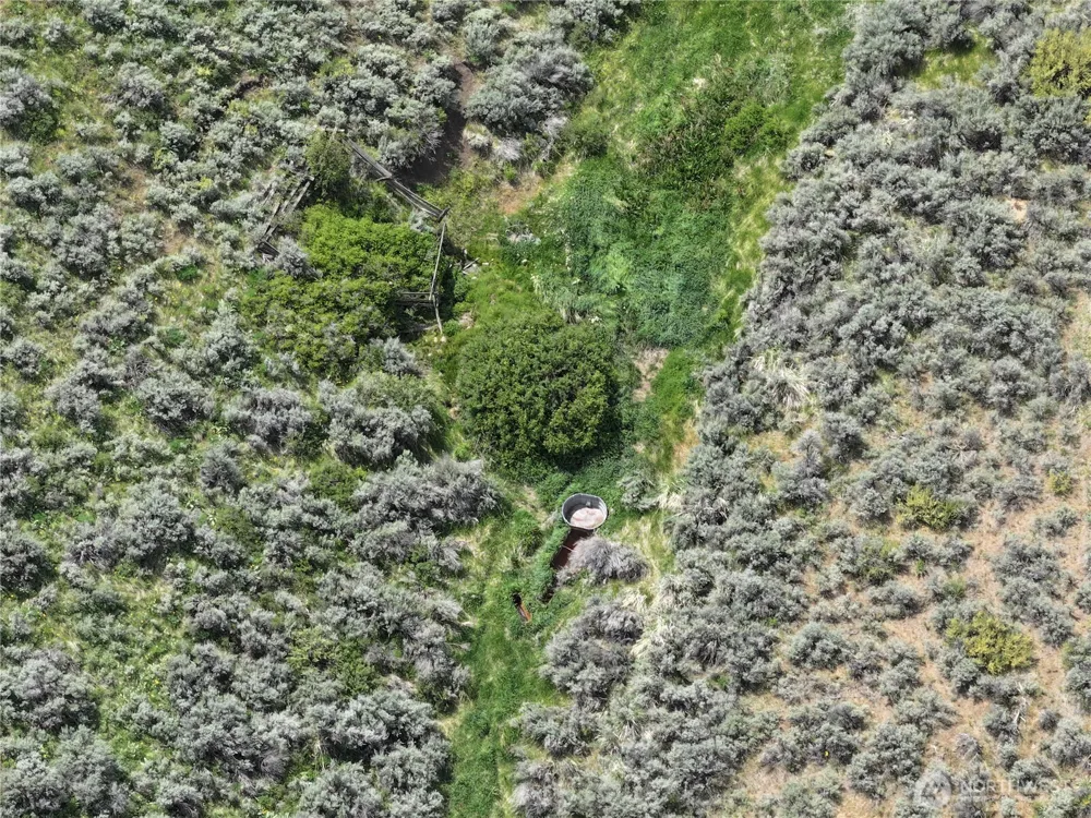 0 Titchenal Canyon Road SW Waterville, WA 98858