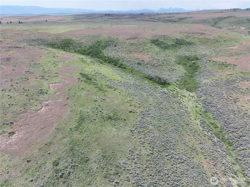 0 Titchenal Canyon Road SW Waterville, WA 98858