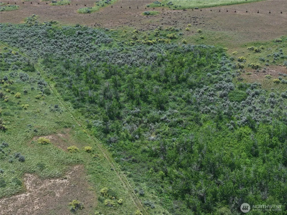 0 Titchenal Canyon Road SW Waterville, WA 98858