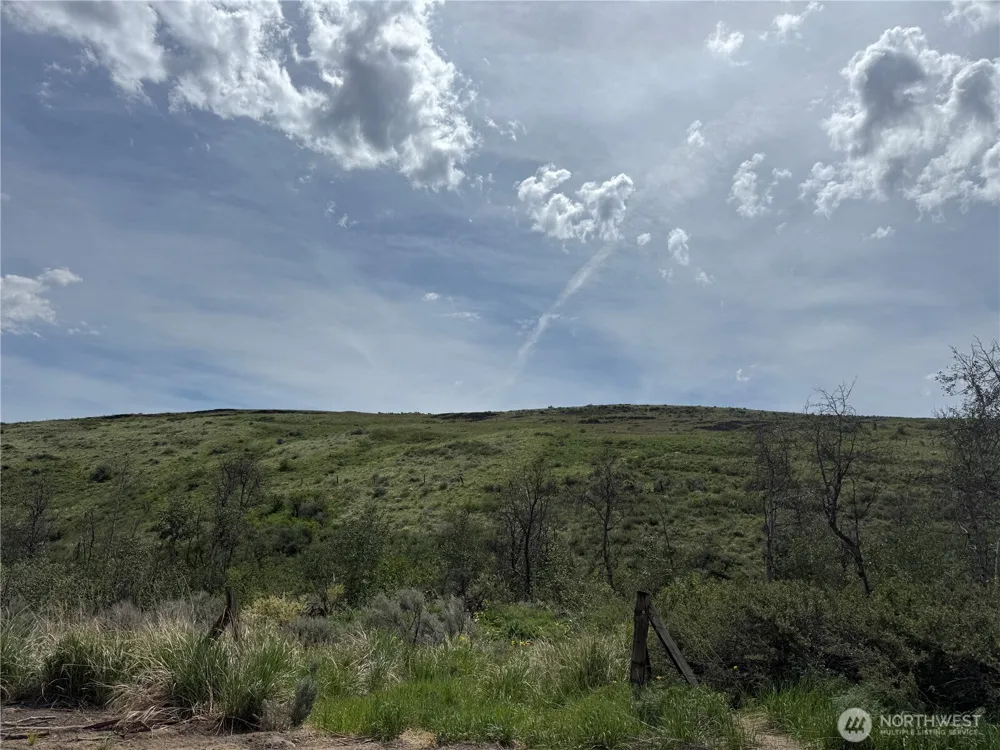 0 Titchenal Canyon Road SW Waterville, WA 98858