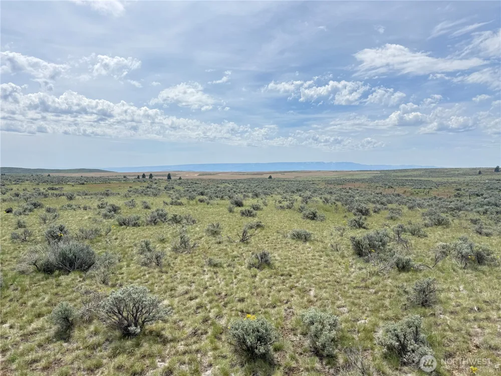 0 Titchenal Canyon Road SW Waterville, WA 98858