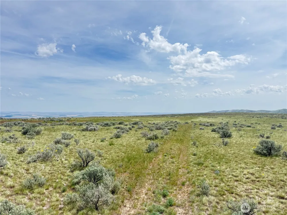 0 Titchenal Canyon Road SW Waterville, WA 98858