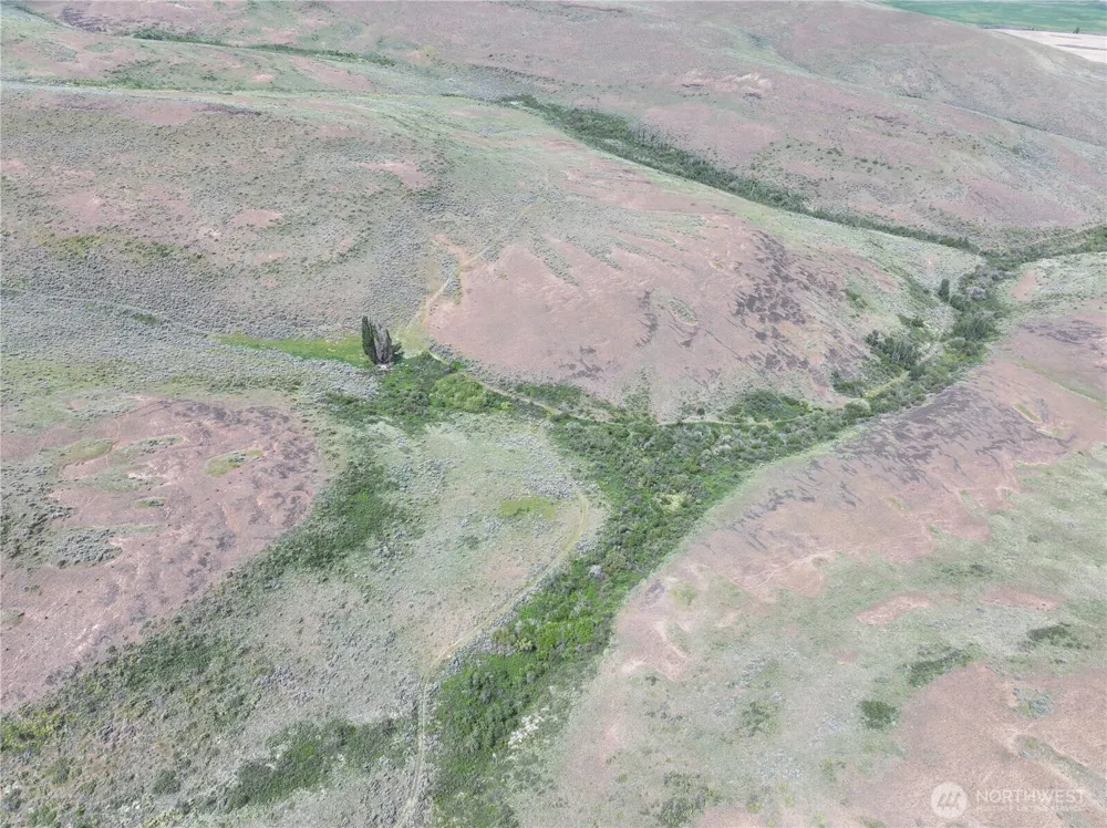 0 Titchenal Canyon Road SW Waterville, WA 98858