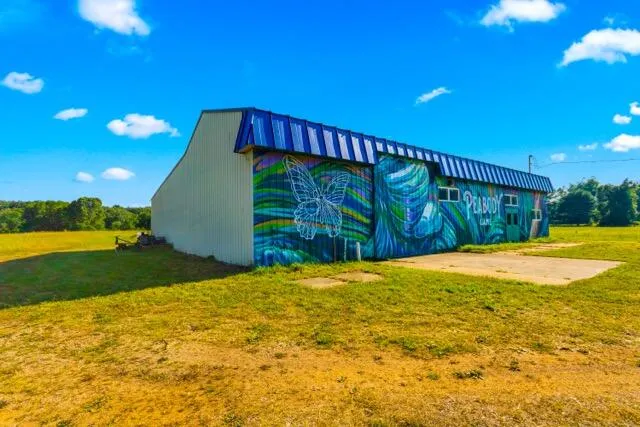 6837 Cochran Road Horton, MI 49246
