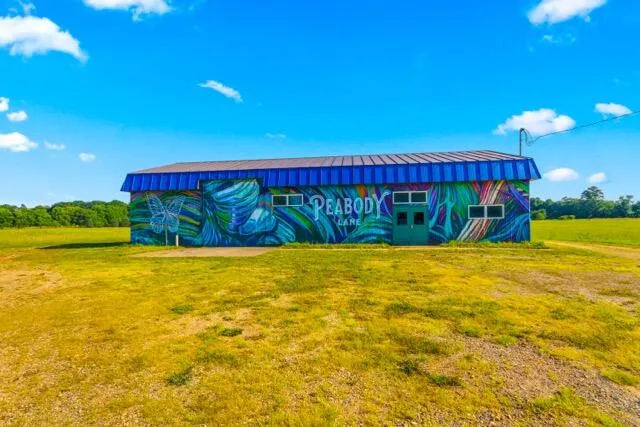 6837 Cochran Road Horton, MI 49246