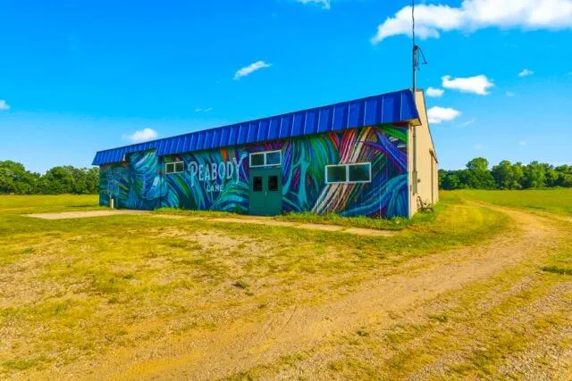 6837 Cochran Road Horton, MI 49246