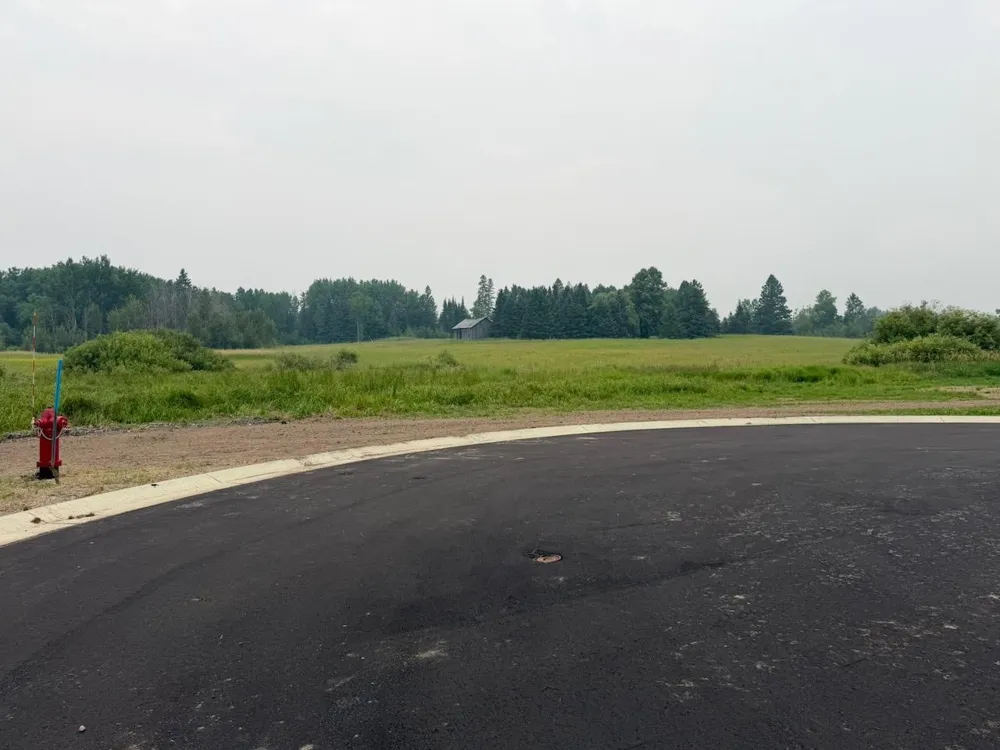 Lot 1, Blk 1 Eldien Dr Brook Cook, MN 55723