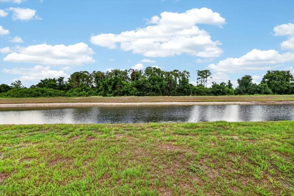 14415 BARLEY FIELD DRIVE Wimauma, FL 33598