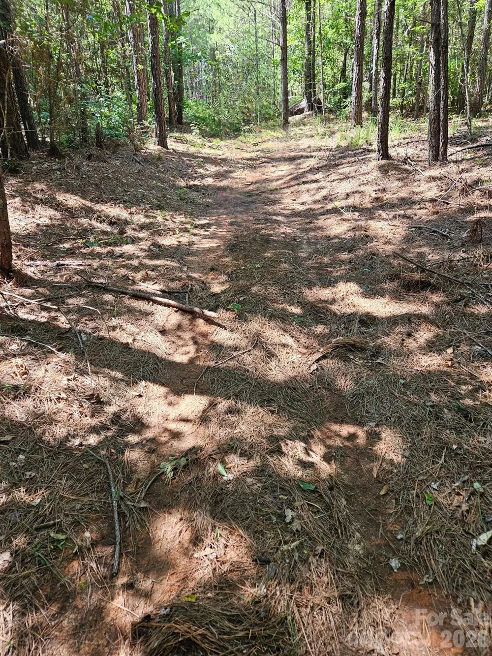 00 Cypress Drive Winnsboro, SC 29180