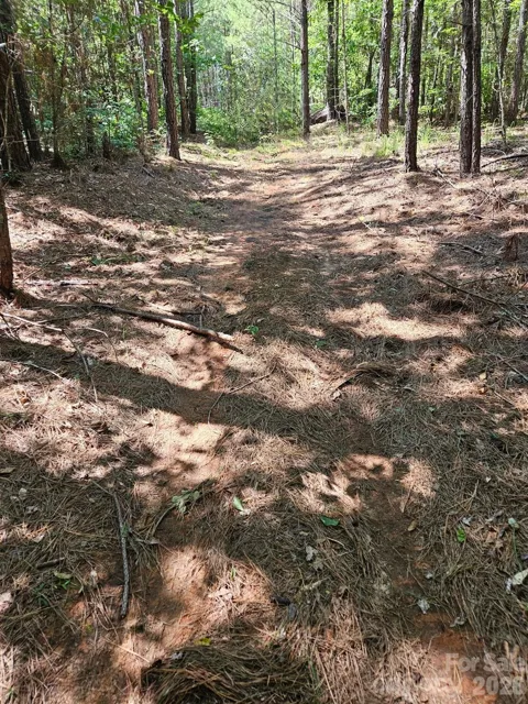 00 Cypress Drive