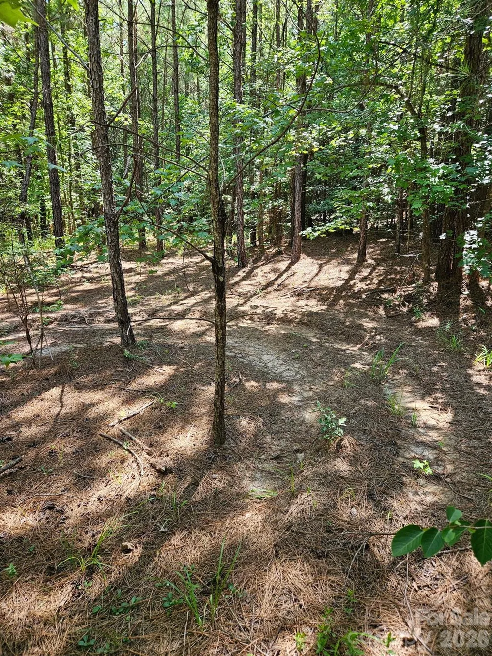 00 Cypress Drive Winnsboro, SC 29180