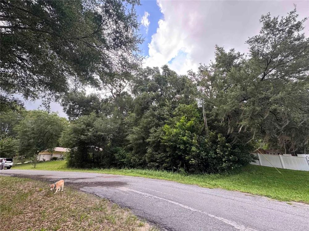 8371 TITLEIST DRIVE Citrus Springs, FL 34434