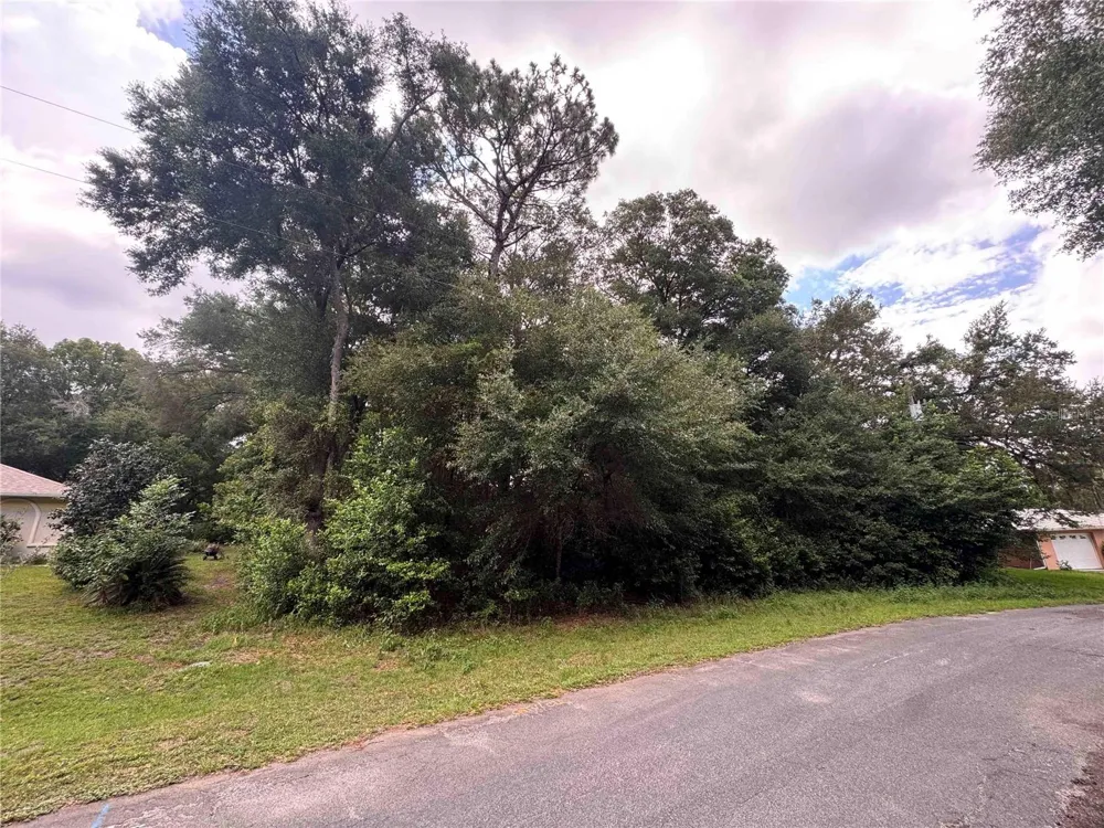 8371 TITLEIST DRIVE Citrus Springs, FL 34434