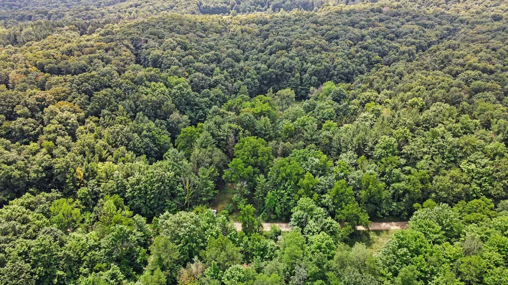 539 E Buchanan Road Ferry Township, MI 49455