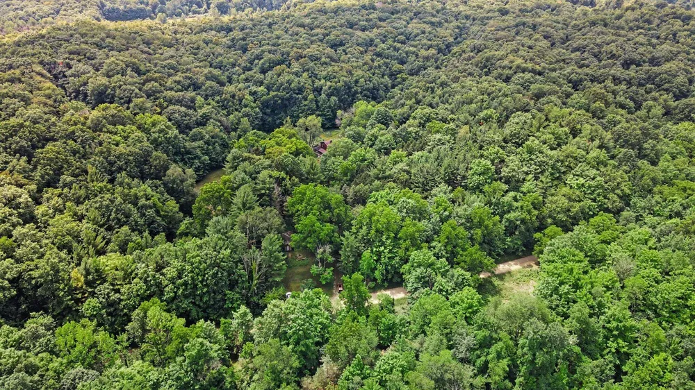 539 E Buchanan Road Ferry Township, MI 49455