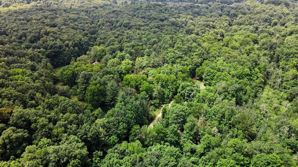 539 E Buchanan Road Ferry Township, MI 49455