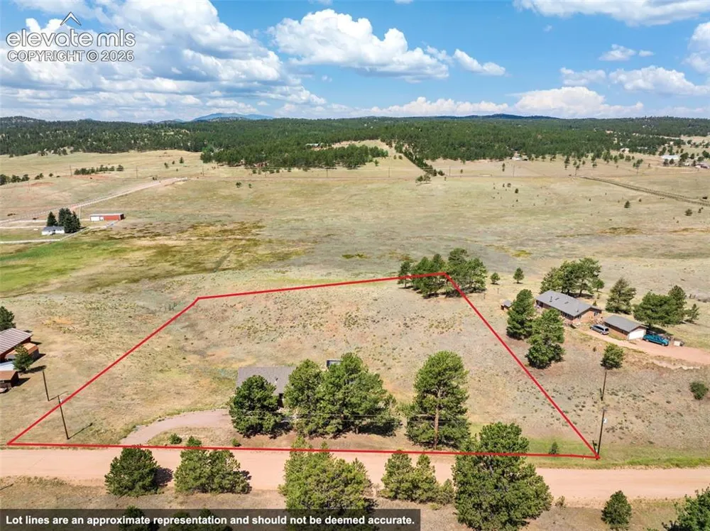 351 High Pasture Road Florissant, CO 80816