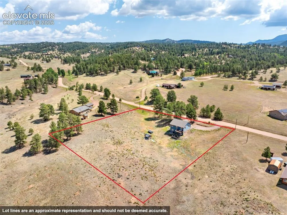 351 High Pasture Road Florissant, CO 80816