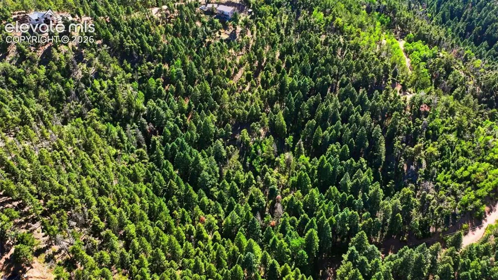 13464 S Firedog Way Larkspur, CO 80118