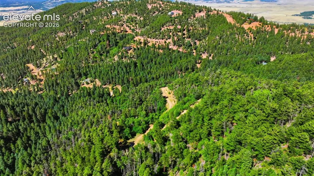 13488 S Firedog Way Larkspur, CO 80118