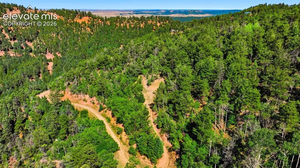 13488 S Firedog Way Larkspur, CO 80118