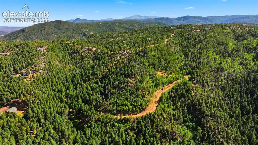 13446 S Firedog Way Larkspur, CO 80118