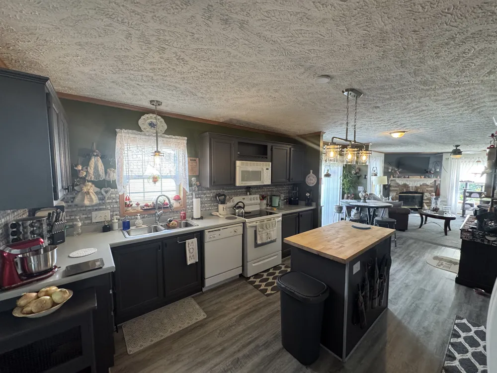 203 Borman Flushing, MI 48433