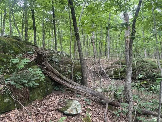 Greenfields Way Dunlap, TN 37327