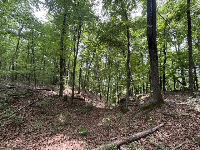 Greenfields Way Dunlap, TN 37327