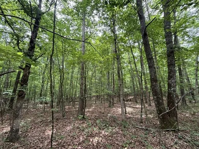 Greenfields Way Dunlap, TN 37327