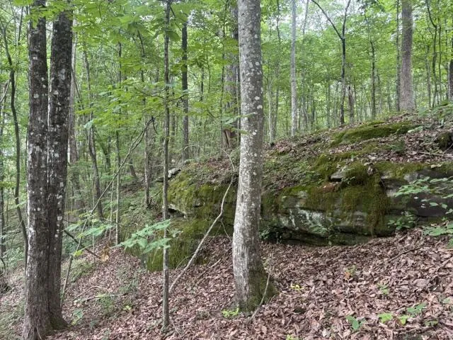Greenfields Way Dunlap, TN 37327
