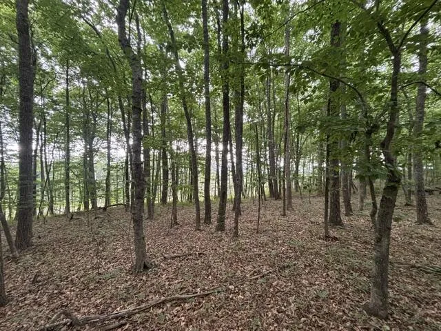 Greenfields Way Dunlap, TN 37327