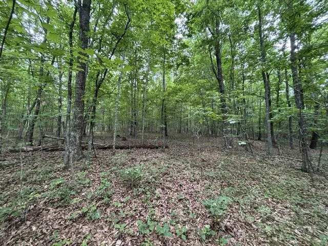 Greenfields Way Dunlap, TN 37327