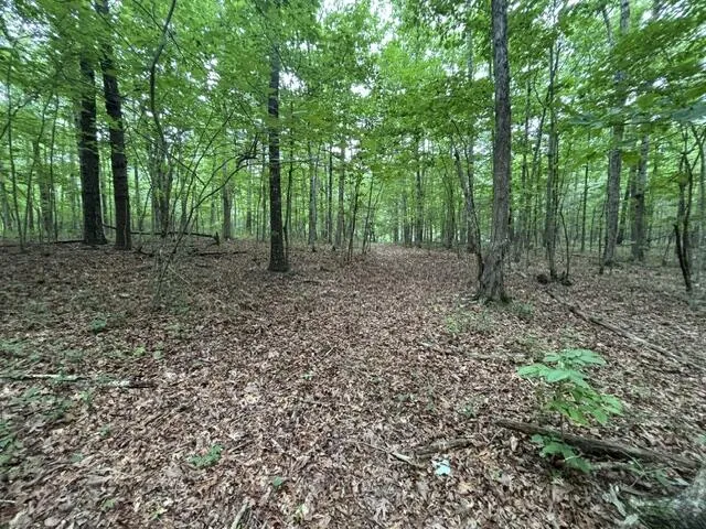 Greenfields Way Dunlap, TN 37327